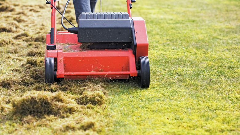 Dethatching the lawn with an electric machine