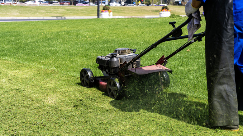 Person mowing lawn with a sharp device