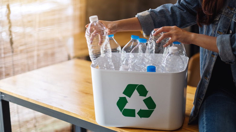 water bottles in recycling container