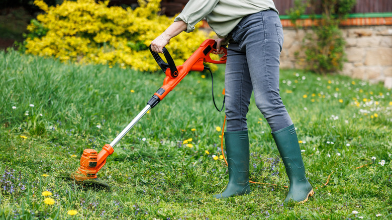 Person using electric weed trimmer on lawn