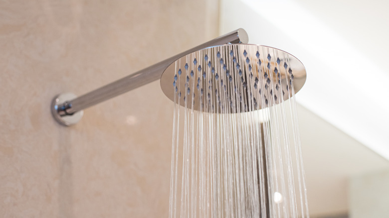 Overhead shower head in modern shower