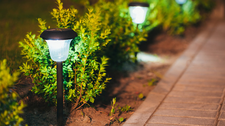 Solar pathway lantern lights in garden