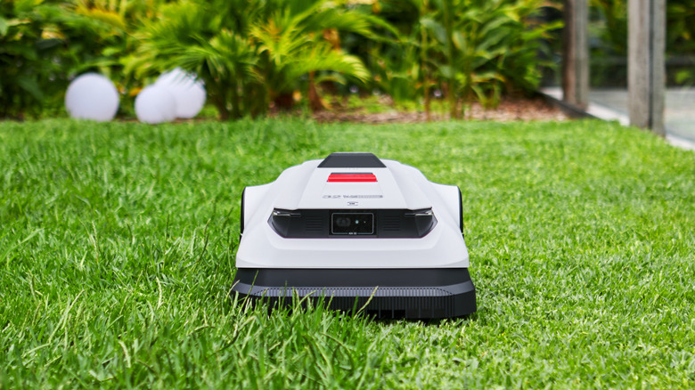 A white ECOVACS robotic lawn mower sitting on cut grass