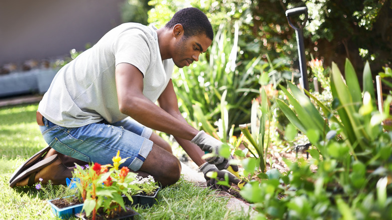 Man digging along the edge of a garden, with small plants in containers ready to be planted