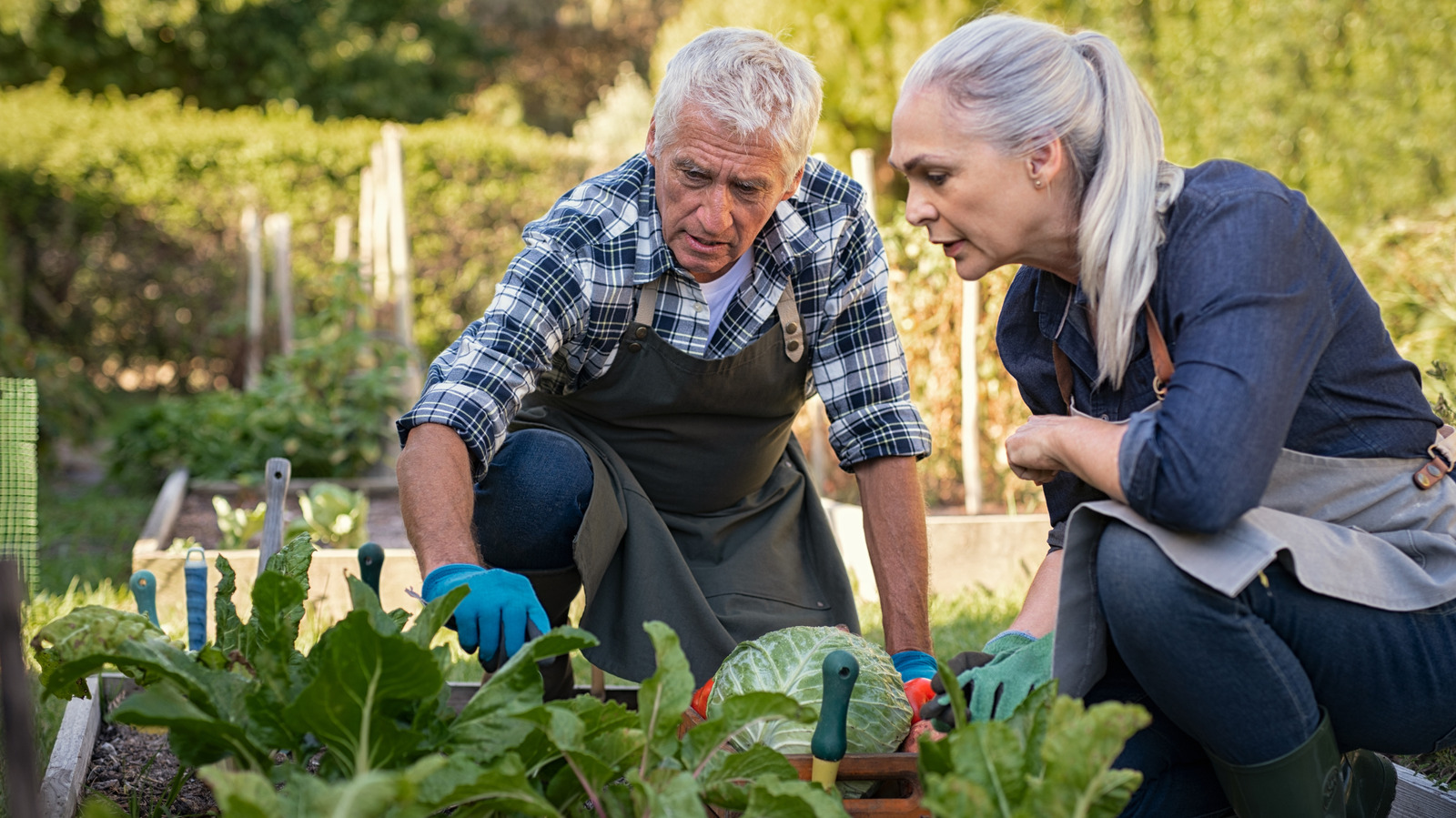 Efficiently Prepare Your Garden Beds With A Simple Drill Attachment