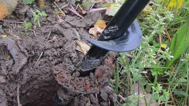 Digging a hole with a drill plant auger attachment