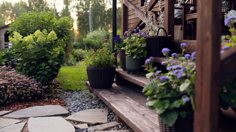The front porch of a house with lots of different plants and flowers in pots