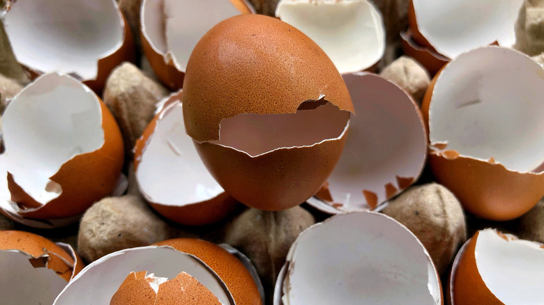 counter full of broken eggshells