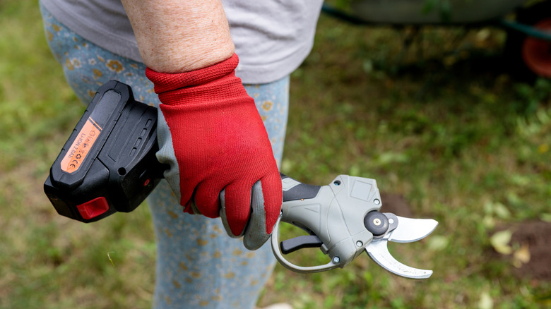 Gardener holding electric pruning shears in a garden