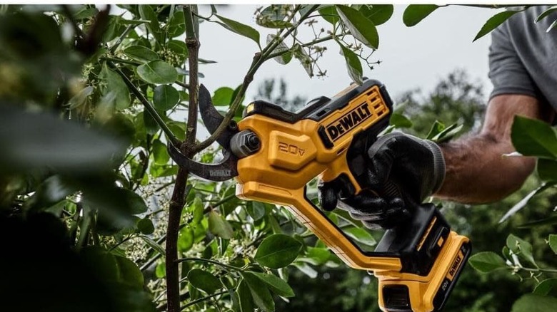 Man using DeWalt electric pruning shears