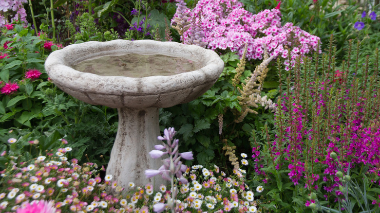 A cement bird bath surrounded by flowers.