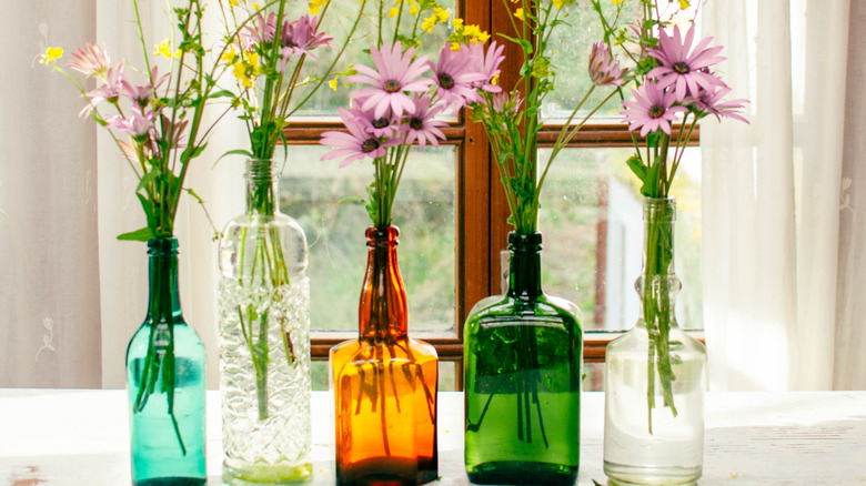 Closeup of cute flowers in different bottles