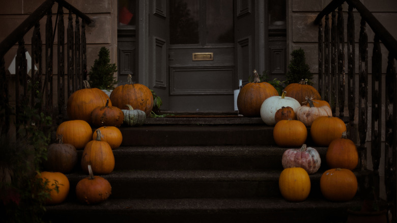 Dark porch steps lined with pumpkins