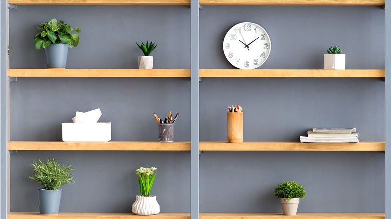 Shelf with plants and objects