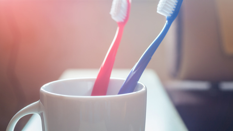 Toothbrushes in mug