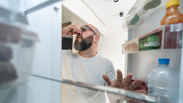 Can Fridge Odors Be Eliminated With This Wine Cork Idea? Our Writer Gave It A Pop