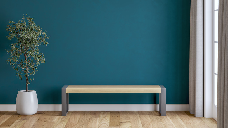 A space with a bench and a small tree inside a home with patina blue paint on the wall
