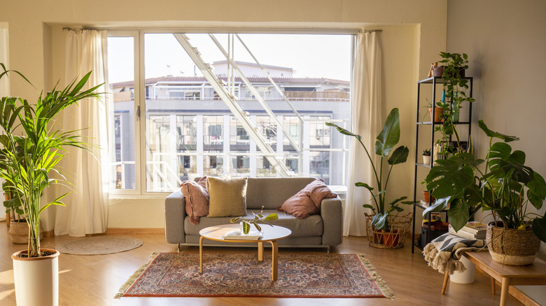 Green and wood apartment with neutral accents