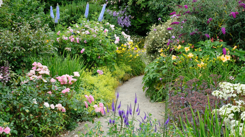 Yellow day lilies and magenta butterfly bush