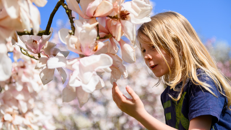 A girl looking at magnolia flowers