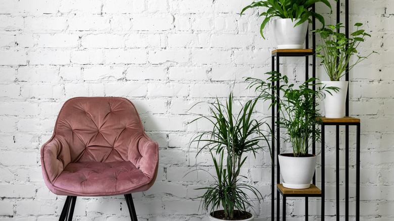 modern decor 