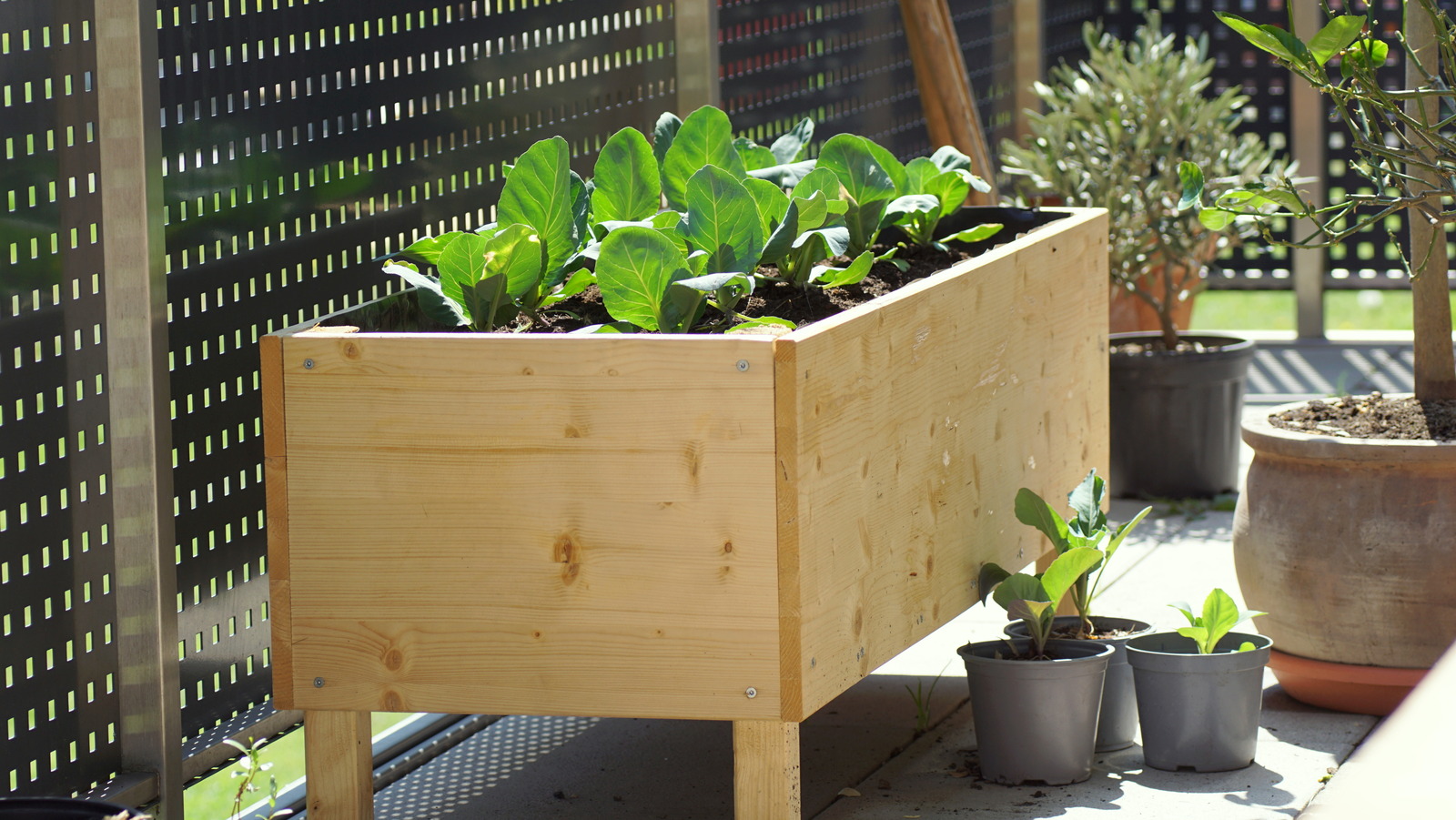 Essential DIY Wooden Planters Tips For Thriving Plants