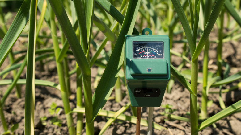 A green meter measuring soil pH level