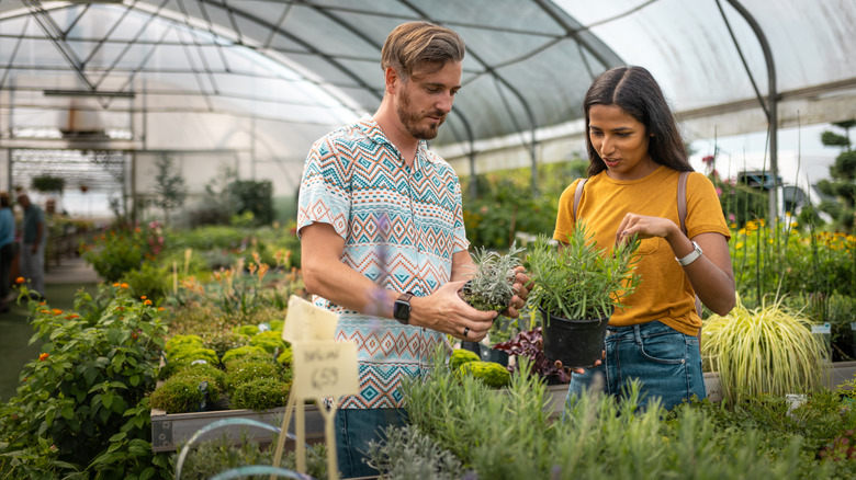 A couple buying plants at a nursery