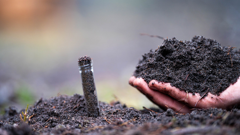 agronomist on a farm practicing agronomy holding soil