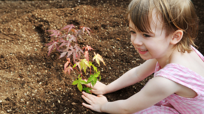 A young child planting a tree sapling