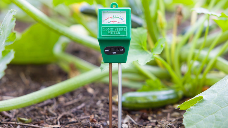 Soil moisture meter and ph meter testing the ground