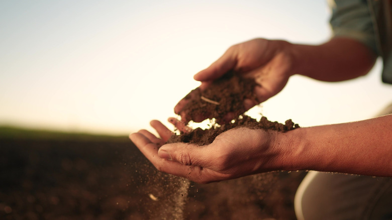 soil in the hands of the farmer