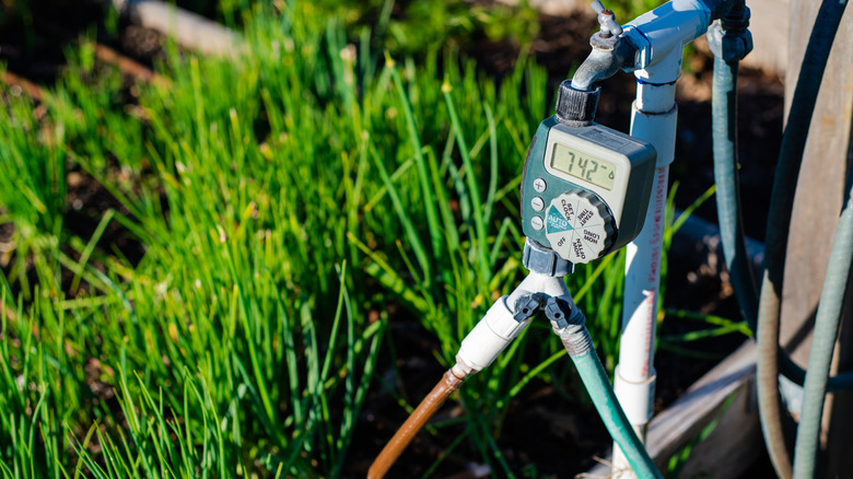 Close-up large display of water timer at community garden in Dallas, Texas