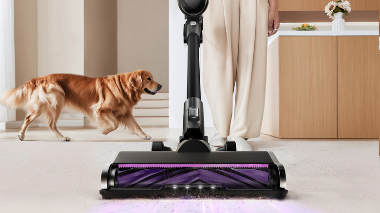 A person using a Eureka vacuum to clean the floor with a dog running in the background