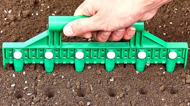 Close-up of a hand creating holes in soil using the Hhthh seed dibber with six prongs