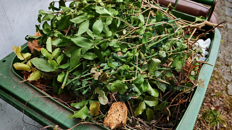 An organic trash can filled with leaves and branches.