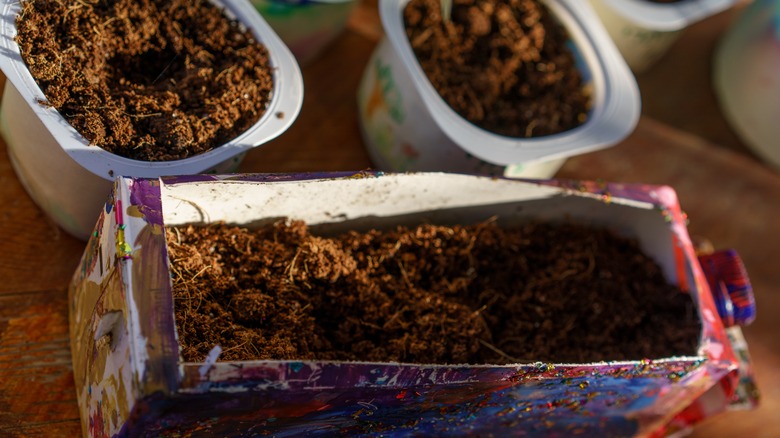 Yogurt tubs and milk carton box reused as seedling starter pots.