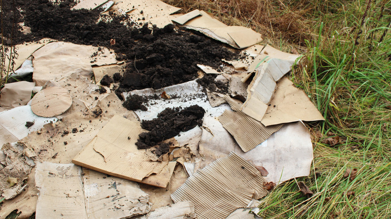 Dirt laid on cardboard pieces in a field to suppress weeds