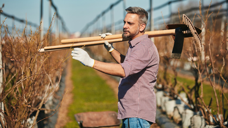 A gardener with a selection of wooden-handled gardening tools slung over his shoulder