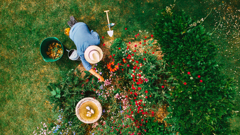 An aerial view of a person planting colorful flowers