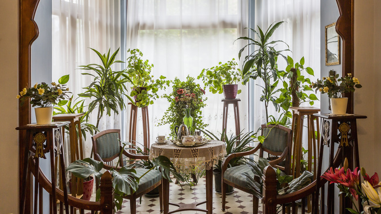 A 1920s parlor full of handmade wooden furniture and lots of houseplants.