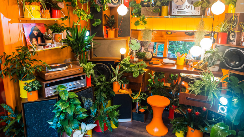 An 80s room filled with lots of houseplants