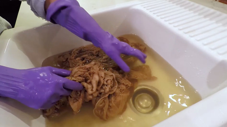 gloved hands washing old lace piece in a basin
