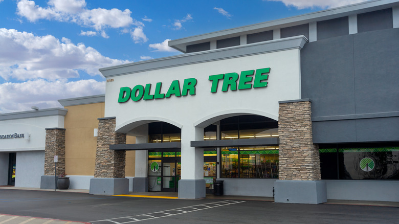 dollar tree store