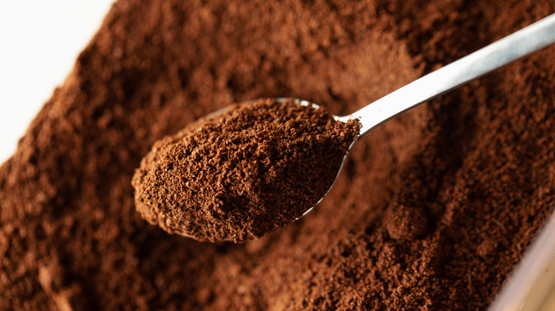 coffee grounds in a spoon