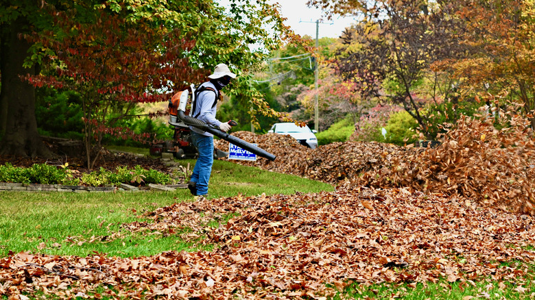Person using a gas leaf blower on a large pile of leaves