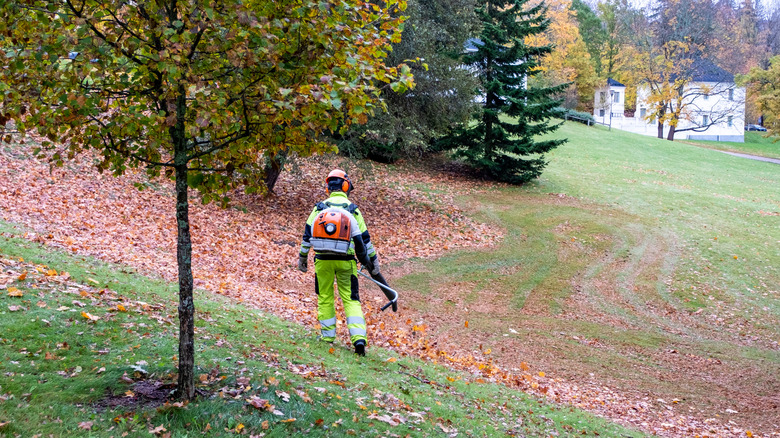 Person using a gas-powered leaf blower in a park