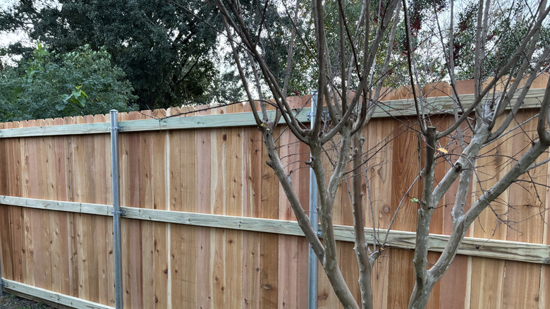 A wooden fence in backyard