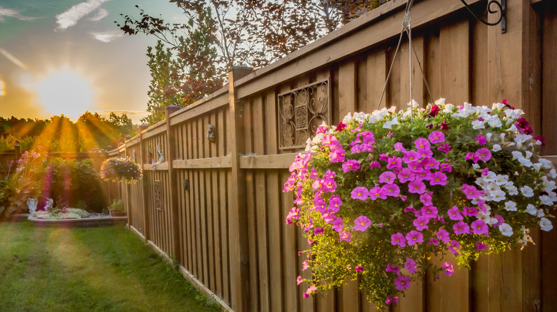 Fence with hanging planters