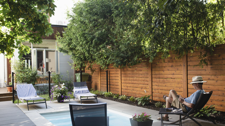 Wooden fence with plants growing over the top